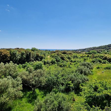 Villa Mareonda Rovinj Kültér fotó