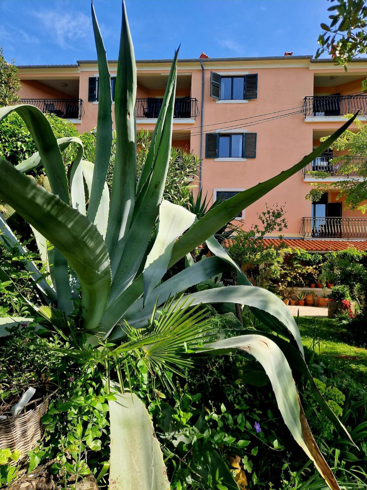 Villa Mareonda Rovinj Kültér fotó