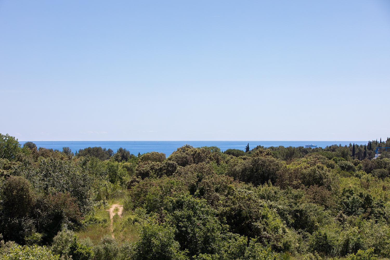 Villa Mareonda Rovinj Kültér fotó