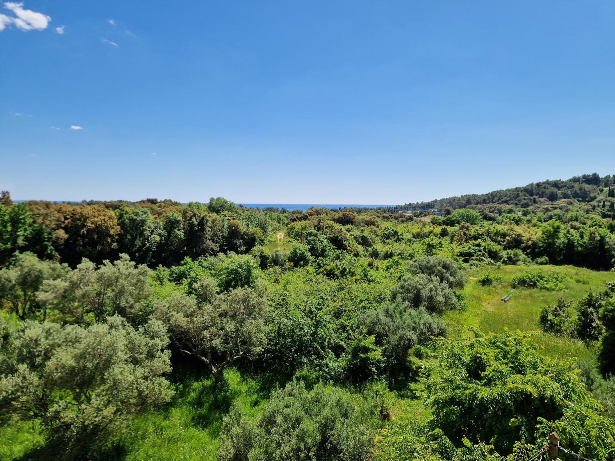 Villa Mareonda Rovinj Kültér fotó